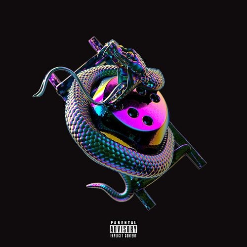 Chip snakes ladders - chip:,