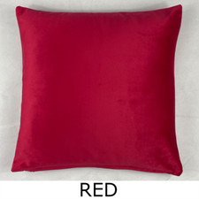 Premium Plush Velvet Cushion