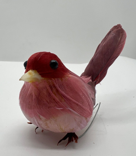 New pink feathered birds - pink,