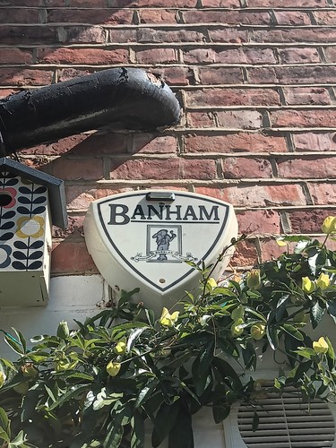 Banham security dummy alarm - banham,
