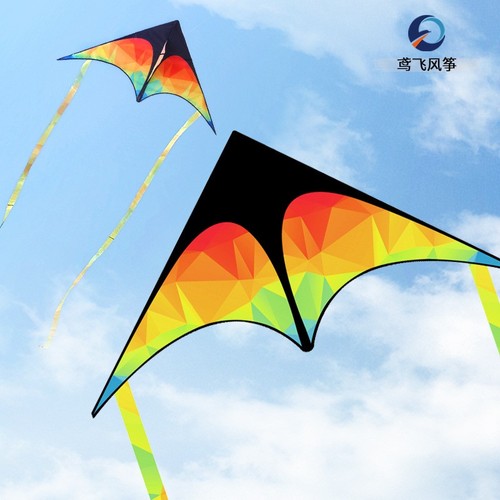 Rainbow kite with long - rainbow,