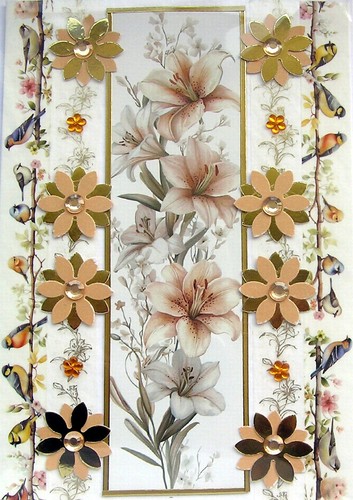 Apricot lily flowers - apricot,