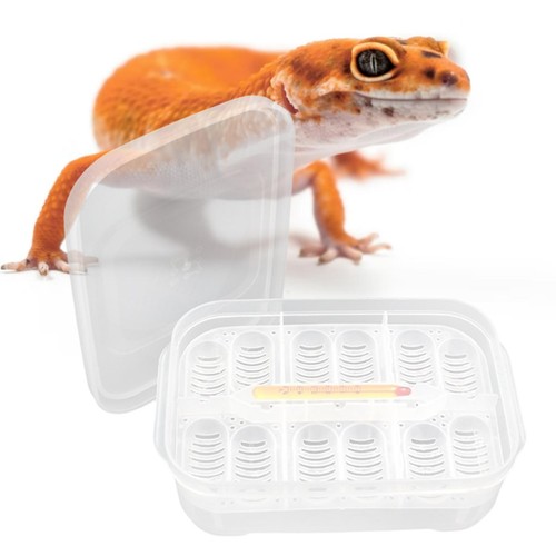 Professional reptile egg tray - professional,