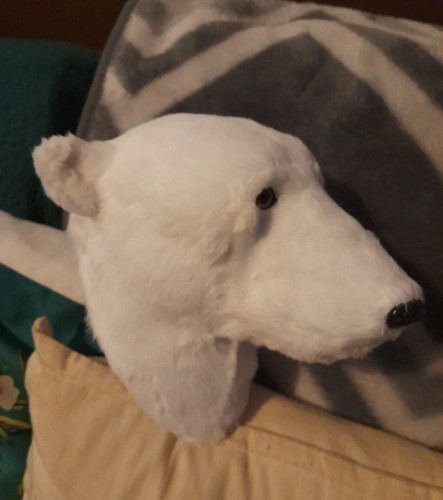Fake taxidermy polarbear head - fake,