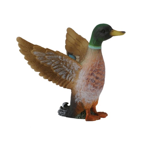 Collecta mallard duck - collecta,