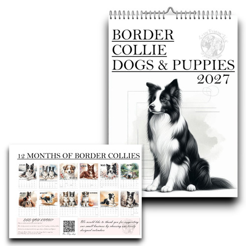 Border collie calendar - collie,