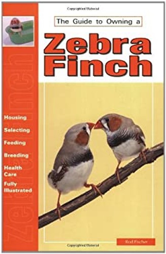 Guide owning zebra finch - guide,