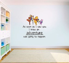 Winnie the Pooh Adventure