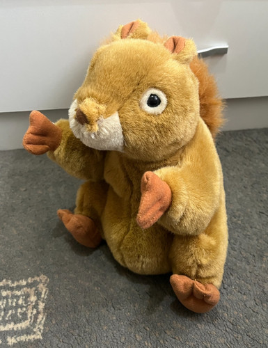 Chosun submitselect squirrel - chosun,