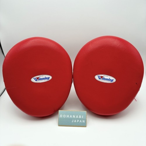 Winning boxing punch - winning,