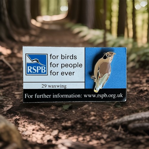 Rspb pin badge - pin,