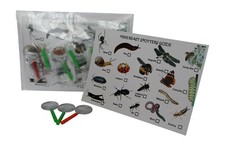 Mini Beast Spotter Cards 20Pce