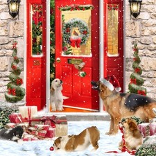 Our Very Own Dog Charity