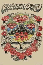 GRATEFUL DEAD SKULL VISION