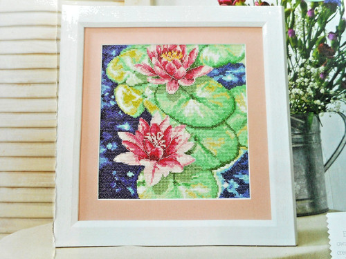 Water lilies beautiful - water, lilies.