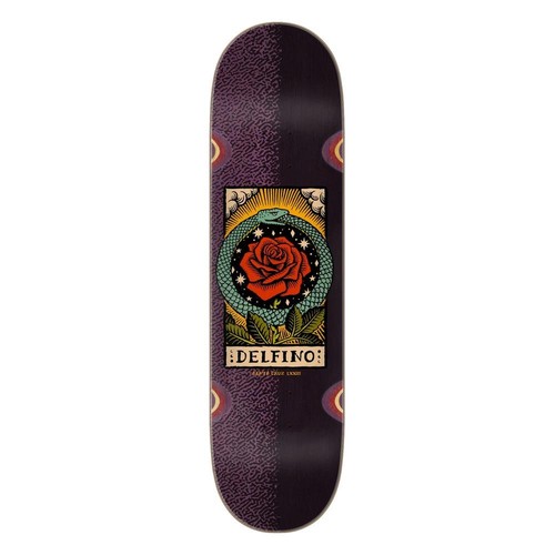 Santa cruz pro delfino - cruz,
