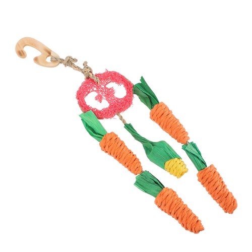 Pet chew toys - pet, bunny