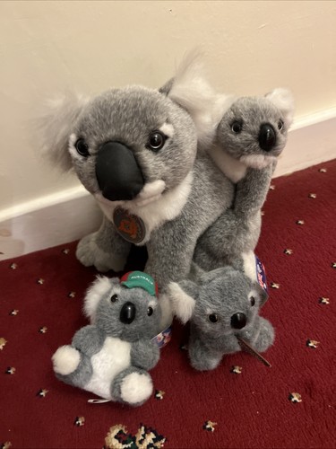 New collection stuffed - new,
