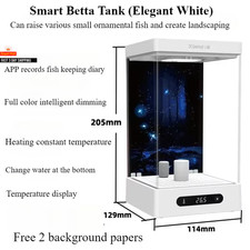Smart Betta Dedicated Fish