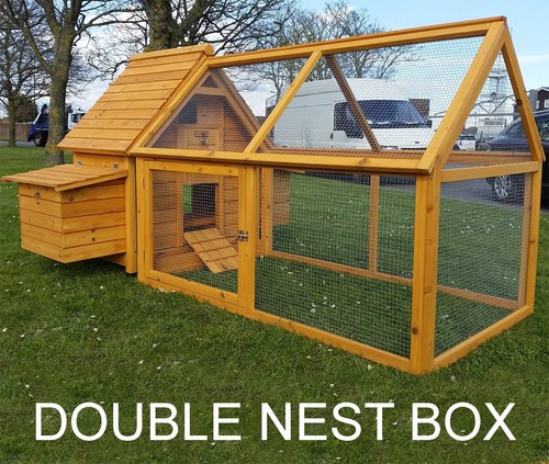 Chicken coop run hen house - hen,