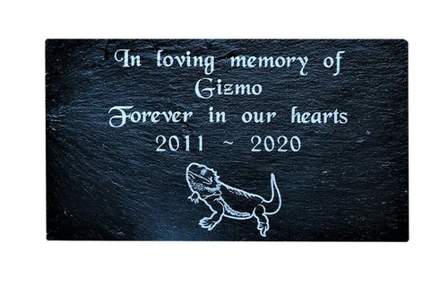 Personalised engraved pet - engraved,