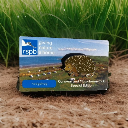 Rspb pin badge - rspb-pin, hedgehog