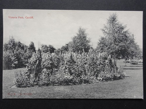 Cardiff victoria park showing - cardiff:,