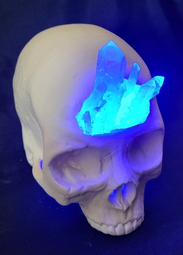 Human skull crystal - human,