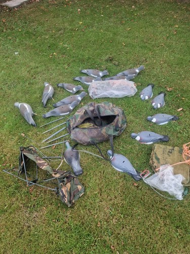 Used pigeon kit - in, a