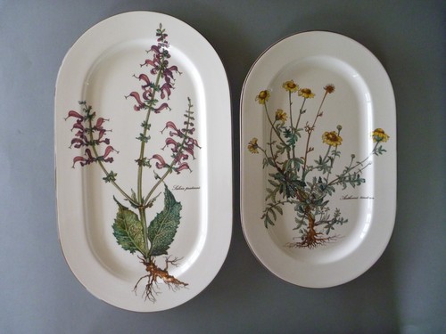 Villeroy boch botanica - villeroy,