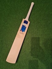 Arks Players : Grade 1 Pro