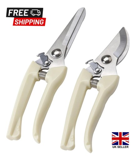 Pruning shears garden - pruning,