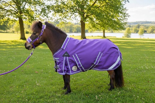 Ruggles 50g turnout - turnout, rug