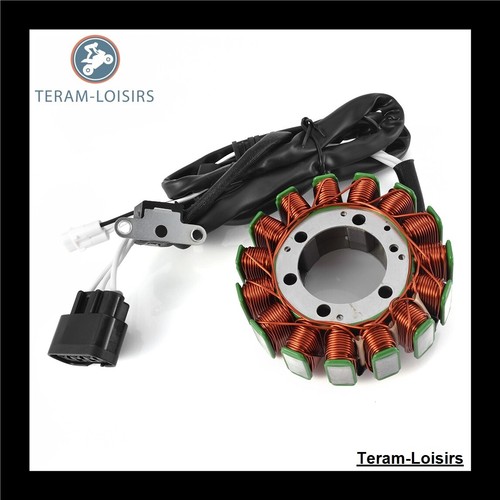 Stator for yamaha - stator, 550