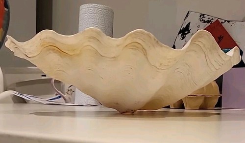 Giant natural clam - clam, half