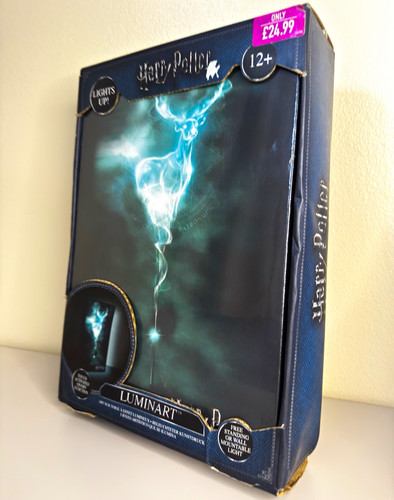 Harry potter luminart - potter,