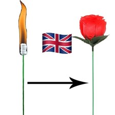 1 Pc Flower Change Roses Magic