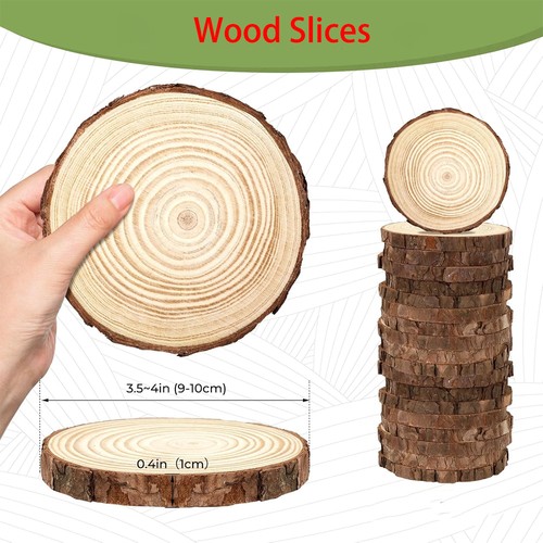 30pcs large wood slices - wood,