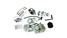 Race Engine Kit - YX140 Z40 cam with lightened flywheel & Stator