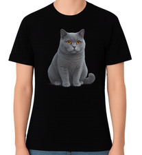 British Shorthair Cat Sitting