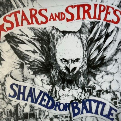 Stars and stripes shaved for - and,