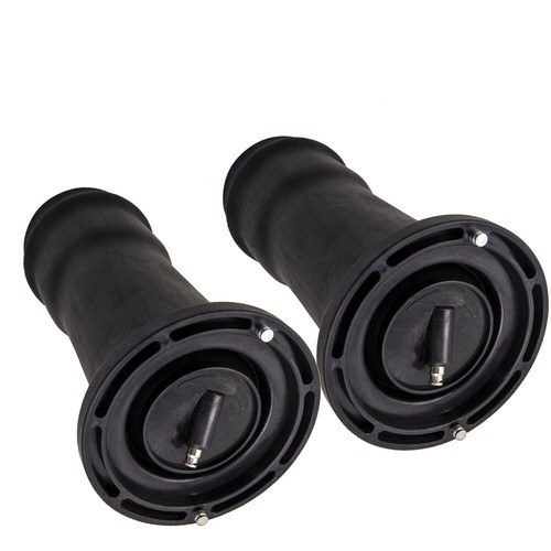 Pair rear air suspension bag - rear,
