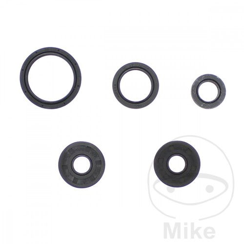 Engine seal kit for - engine, 2008-2011