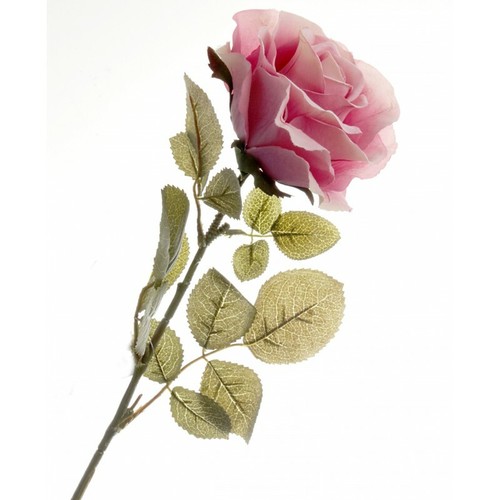 Single artificial rose 70cm - artificial,