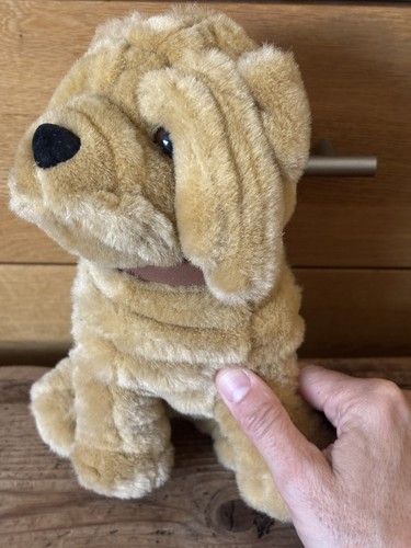 Nicholass wrinkly shar pei - nicholass,