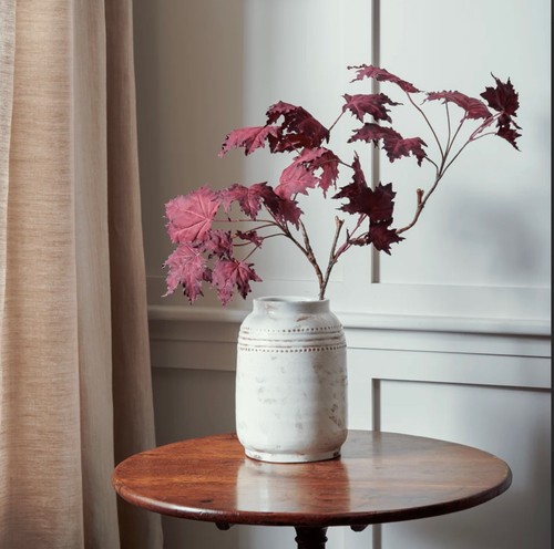 Neptune maple leaf twig - twig,