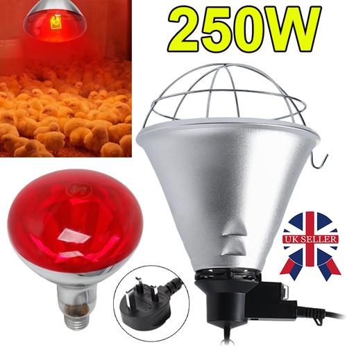 250w infrared heat lamp - heat,