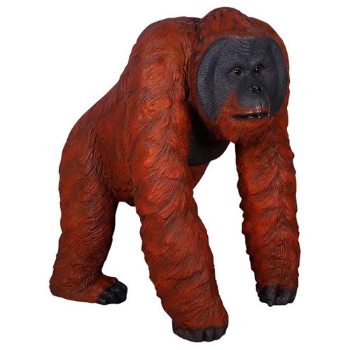 110cm walking male orangutan - 110cm,