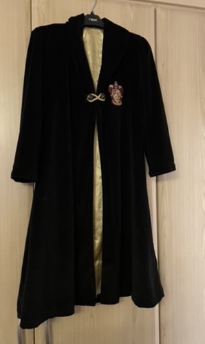 Gorgeous harry potter velvet - gorgeous,