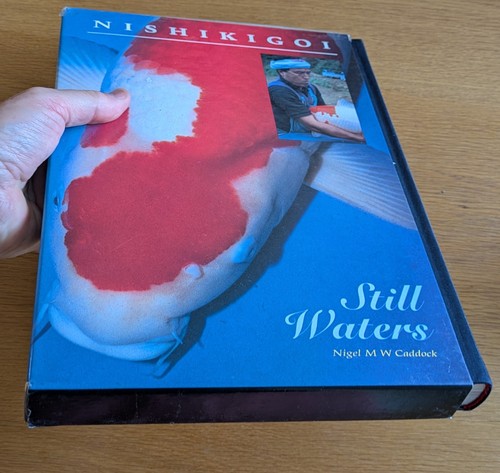 Nishikigoi still waters 1997 - nishikigoi,